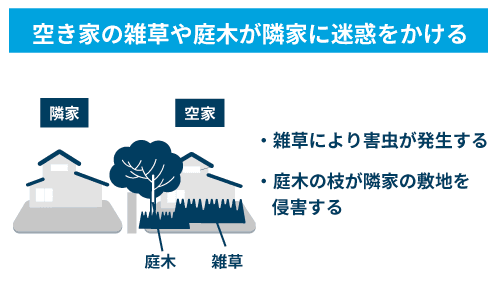 空き家の雑草や庭木が隣家に迷惑をかける