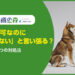 ペット不可なのに「飼ってない」と言い張る？入居者への3つの対処法